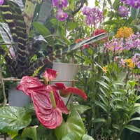 下賀茂熱帯植物園