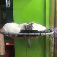 Photo taken at Whiskers Holistic Petcare inc. by Hope Anne N. on 3/21/2019