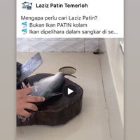 Patin laziz Discover lazizpatin