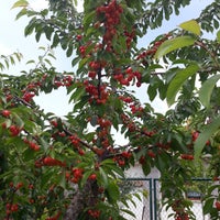6/7/2018 tarihinde 🦋🐞🦋ziyaretçi tarafından SHÇEK Saray Engelsiz Yaşam ve Rehabilitasyon Merkezi'de çekilen fotoğraf