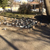 Photo taken at Kurtuluş Parkı by Elif Y. on 11/24/2016
