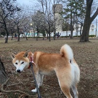 Photo taken at Fuchunomori Park by Risa🍇 on 2/9/2024