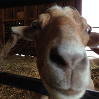 Photo taken at Woodstock Farm Animal Sanctuary by Arthur H. on 9/28/2012