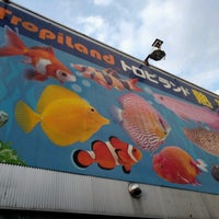 トロピランド 小平店 Now Closed 3 Tips トロピランド 小平店 Now Closed 3 Tips