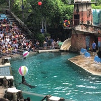 Photo taken at Sea Lion Show by Thittrw on 7/17/2019