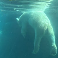 Photo taken at Polar Bear Plunge by Rodrigo Λ. on 4/1/2024