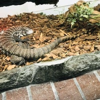 4/20/2019にmydarlingがThe Reptile Zooで撮った写真