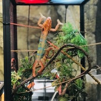 Das Foto wurde bei The Reptile Zoo von mydarling am 4/20/2019 aufgenommen