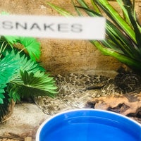 Photo taken at The Reptile Zoo by mydarling on 4/20/2019