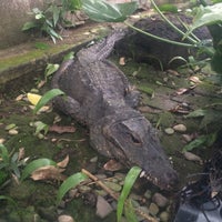 Photo taken at Bali Reptile Park by Murad M. on 2/2/2016