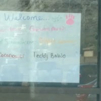 vca mountain view animal hospital