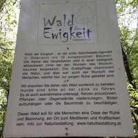 Photo taken at Wald der Ewigkeit by Alexander on 5/10/2014