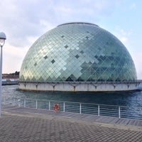 なにわの海の時空館 Osaka Maritime Museum Ahora Cerrado Museo De Ciencias En 住之江区