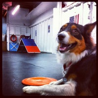Photo taken at Zoom Room Dog Training by Robin B. on 11/24/2012
