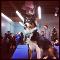 Photo taken at Zoom Room Dog Training by Robin B. on 12/17/2012