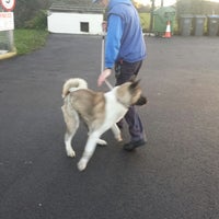 Deerness dog cheap kennels