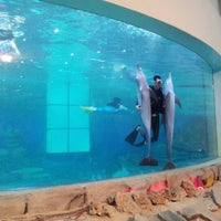 Photo taken at Underwater Theater (Ocean Dream Samudra) by Armand W. on 10/16/2012