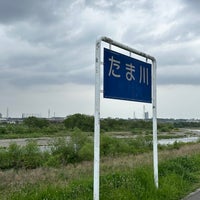 Photo taken at Tama River by おはぎ on 4/21/2024