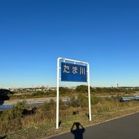 Photo taken at Tama River by おはぎ on 11/19/2023