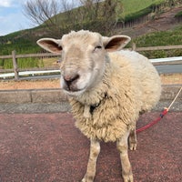 やぎうまひつじ 宮崎市 宮崎県