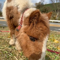 やぎうまひつじ 宮崎市 宮崎県