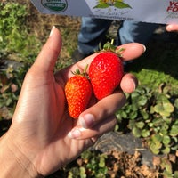 Photo taken at Live Earth Farm by Kendal C. on 10/19/2019