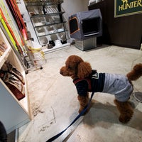 ジャーマンペットハウス 銀座店 銀座 東京 東京都