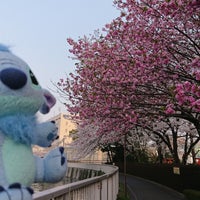 Photo taken at 三嶽橋 by スティッチ ふ. on 4/6/2019