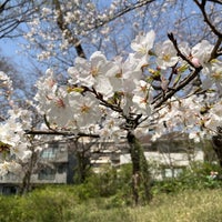 Photo taken at Senzoku Pond by Sapo on 4/2/2024