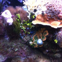 Photo taken at Fish Store by Mark M. on 10/7/2012