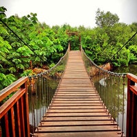 Taman Wisata Alam Mangrove Nature Preserve In Jakarta