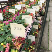 三貴フラワーセンター 本店売場 5 Tips From 1 Visitors