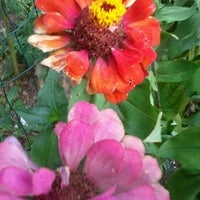Photo taken at Urban Ecology Center Community Garden by Babs on 9/17/2012