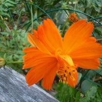 Photo taken at Urban Ecology Center Community Garden by Babs on 9/19/2012