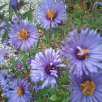 Photo taken at Urban Ecology Center Community Garden by Babs on 10/9/2012