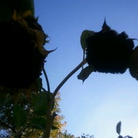Photo taken at Urban Ecology Center Community Garden by Babs on 9/26/2012
