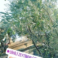 Photo taken at Zeytindalı Kaplıca &amp;amp; Otel &amp;amp; Restaurant by Tunç Yasin K. on 10/4/2017