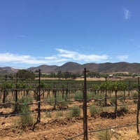 Photo taken at Reyes Winery by Melissa P. on 6/5/2016