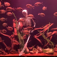 9/29/2020にÖmer Berat A.がAntalya Aquariumで撮った写真