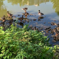 Photo taken at Historic Fourth Ward Park Pond by Chia on 8/24/2019