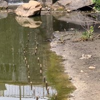 Photo taken at Historic Fourth Ward Park Pond by Chia on 6/6/2019