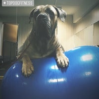 Photo taken at Top Dog Fitness by Aljona on 5/3/2018