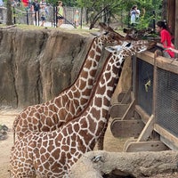 Photo taken at Dallas Zoo by Candace H. on 5/10/2022