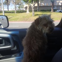 Amar Glen Animal Hospital Veterinarian In La Puente