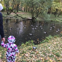 Photo taken at Пруд в парке by Anna P. on 10/14/2017
