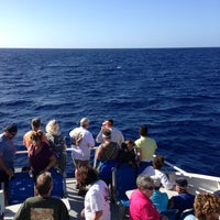 Photo taken at Ultimate Whale Watch by Josh . on 2/3/2013