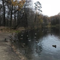 Photo taken at Утиный пруд by Настя В. on 10/28/2018