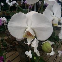 Flora S.A - 15 Calle A 10-62 Zona 10