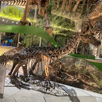 Photo taken at Dinosaurs/Hall of Paleobiology Exhibit by Silvia U. on 1/19/2020