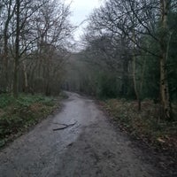 Photo taken at Thorndon Country Park by H on 1/31/2021
